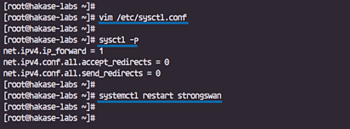 Configure port forwarding in sysctl.conf