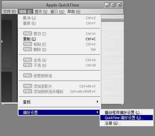 苹果QuickTime偏好设置 苹果QuickTime偏好设置