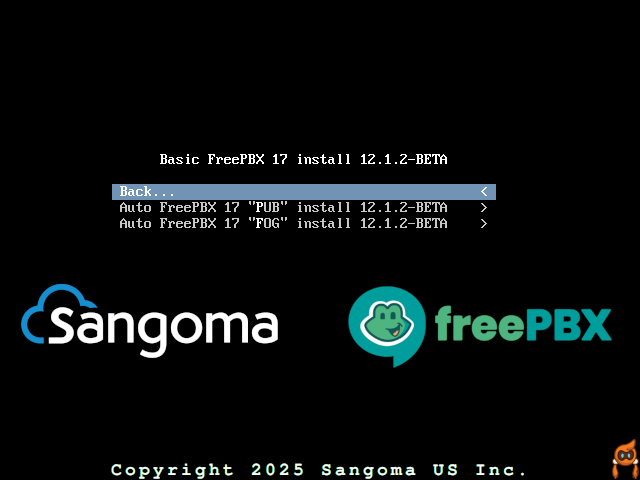 SNGFD12 BIOS Basic Menu