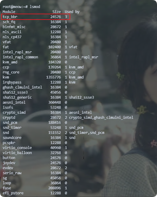 QQ_1743066054590.png