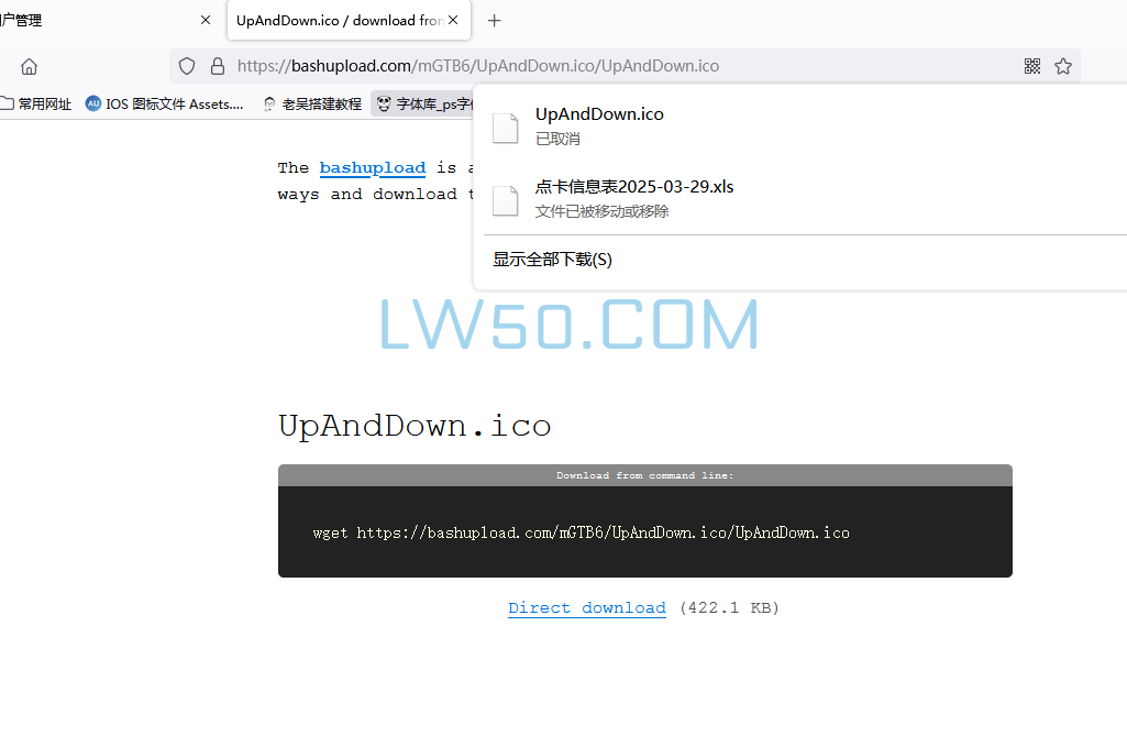 直链上传工具  第2张
