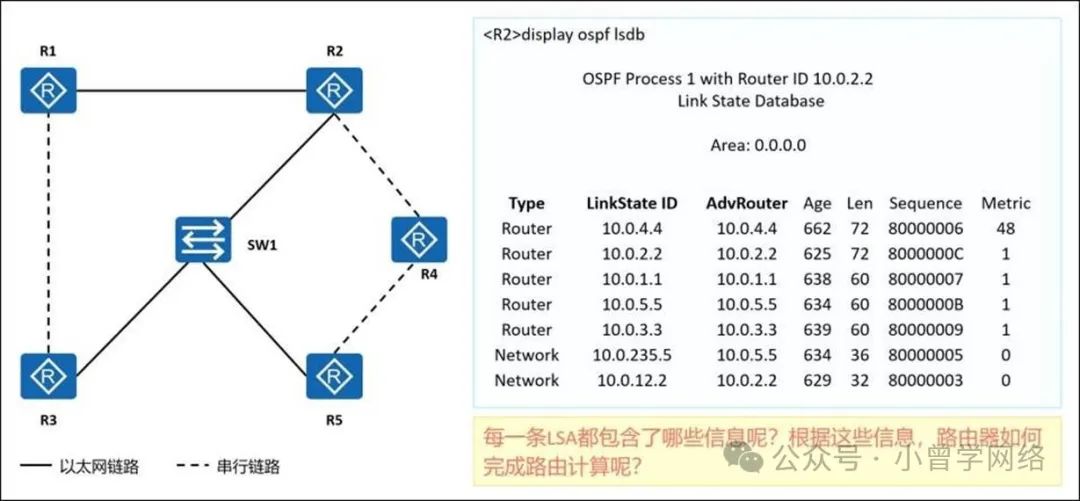 计算机生成了可选文字: <R2>displayospfIsdb OSPFProcess1withRouter旧10．0．2．2 LinkStateDatabase Area:0．0．0．0 以太网链路 SW1 -串行链路 Type Router Router Router Router Router Network Network LinkState|D 10．0．4．4 10．0．2．2 10．0．1．1 10．0．5．5 10．033 10．0．235．5 10．0．12．2 AdvRouter 10．0．4．4 10．0．2．2 10．0．1．1 10．0．5．5 10．0．33 10．0．5．5 10．0．2．2 Age 662 625 638 634 639 634 629 Len 72 72 60 60 60 36 32 Sequence 80000006 8000000C 80000007 8000000B 80000009 80000005 80000003 Metric 48 1 1 1 1 0 0 每一条LSA都包含了哪些信息呢？根据这些信息，路由器如何 完成路由计算呢？