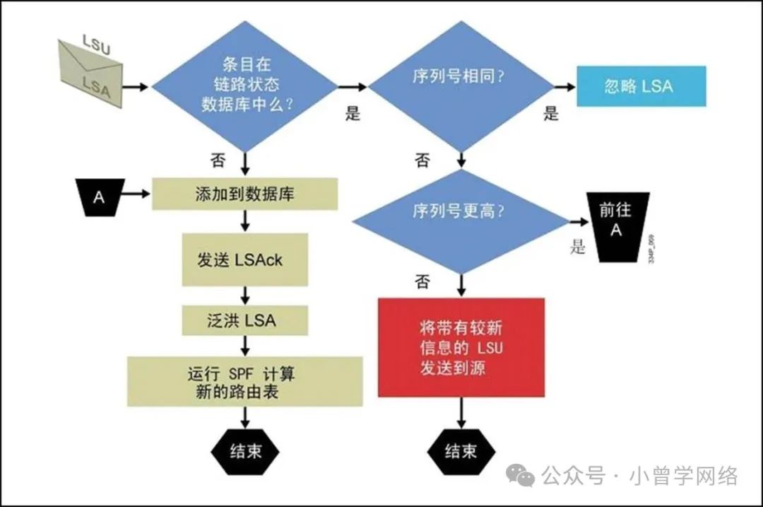 计算机生成了可选文字: A 条目在 链路状态 数据库中么？ 添加到数据库 发送LSAck 泛洪LSA 运行SPF计算 新的路由表 结束 序列号相同？ 序列号更高？ 将带有较新 信息的LSU 发送到源 结束 忽略LSA 前往 A