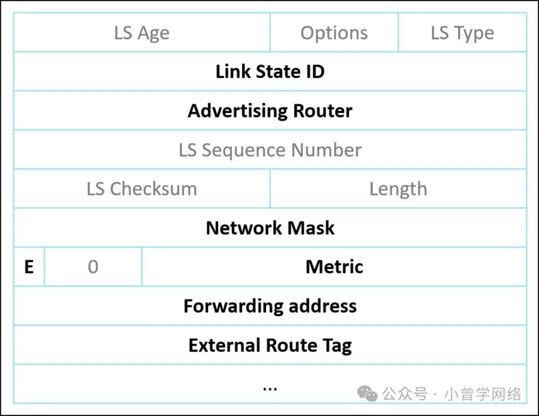 计算机生成了可选文字: LSAge Options LinkStateID AdvertisingRouter LSSequenceNumber LSChecksum NetworkMask LSType Length E 0 Metric Forwardingaddress ExternalRouteTag