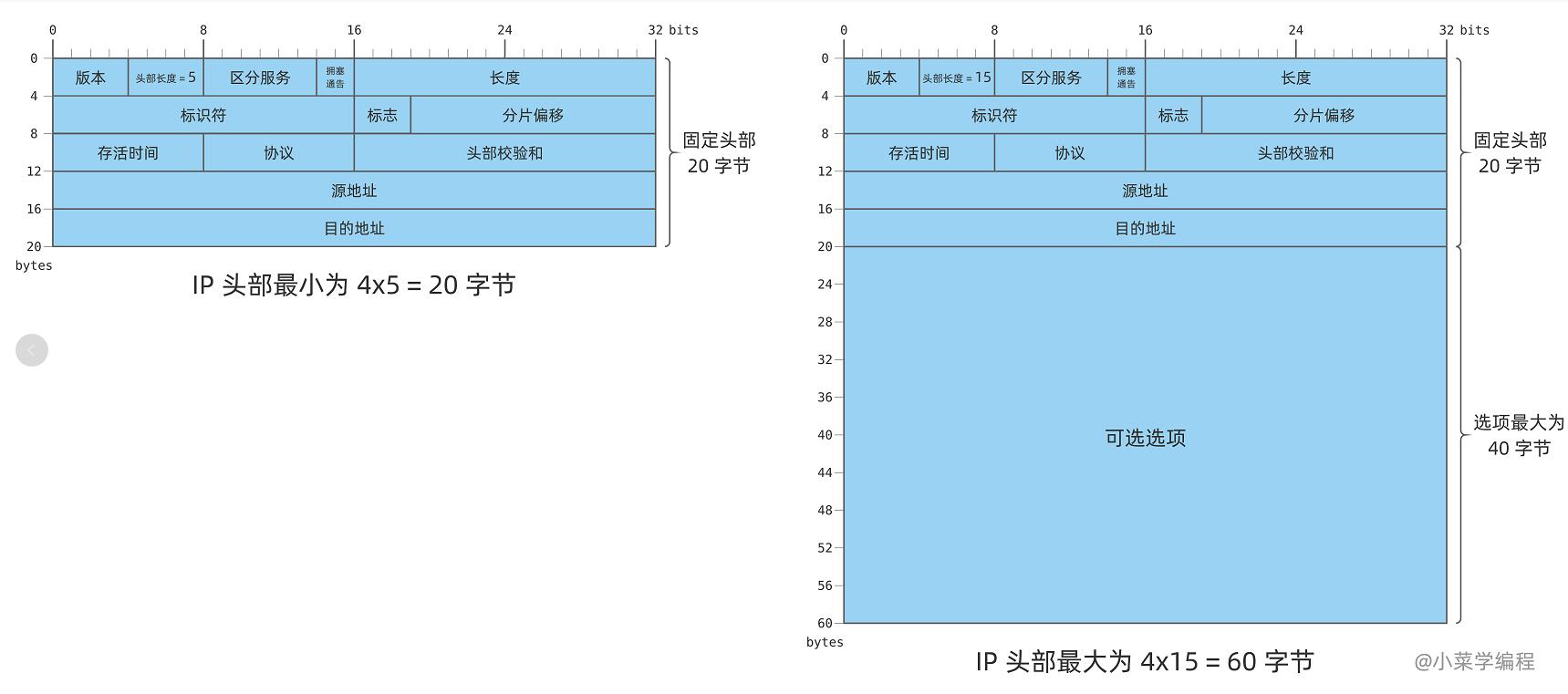 头部长度