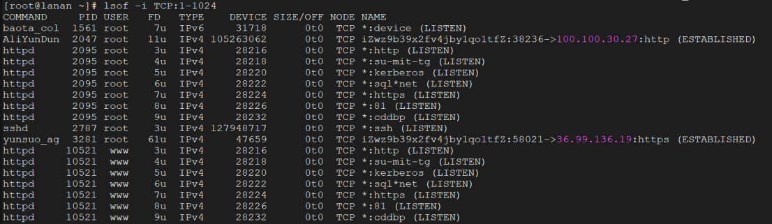 555f8ec52d55370729a9693e62a2a9a8_1733208511132073.png