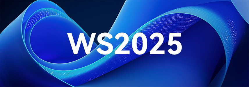 Windows Server 2025