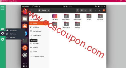 Remote Access Plus