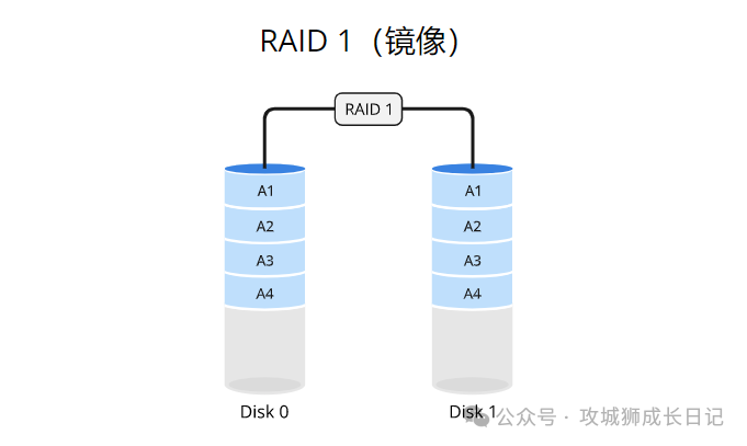 RAID 1