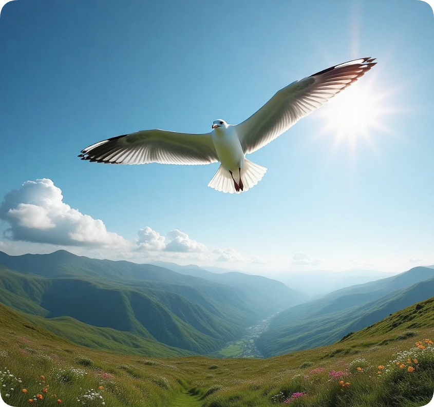 QQ_1751389873025.png